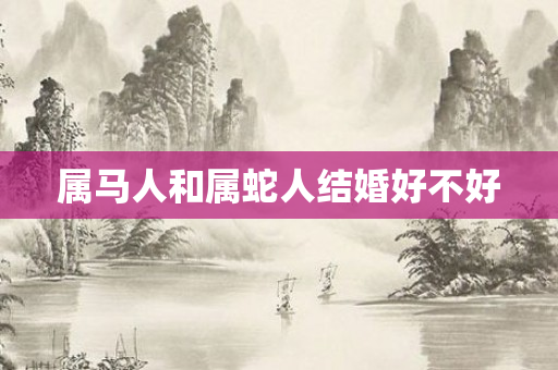 属马人和属蛇人结婚好不好