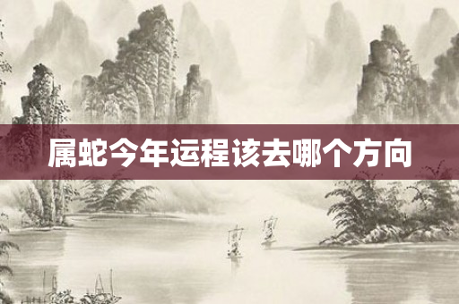 属蛇今年运程该去哪个方向