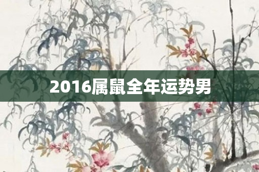 2016属鼠全年运势男