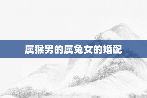 属猴男的属兔女的婚配