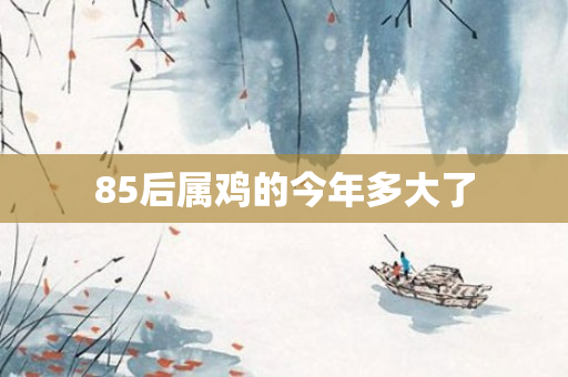 85后属鸡的今年多大了