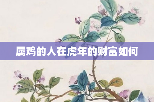 属鸡的人在虎年的财富如何