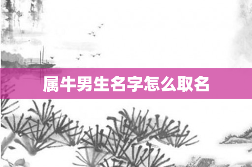 属牛男生名字怎么取名