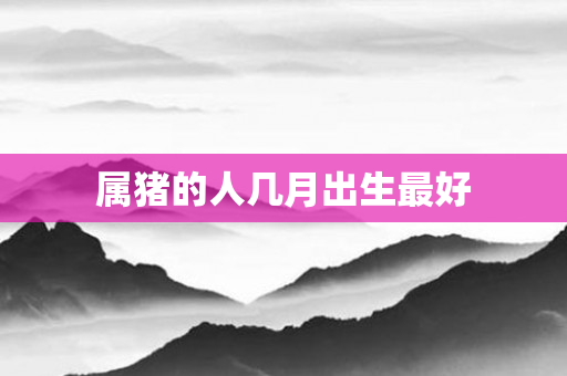 属猪的人几月出生更好