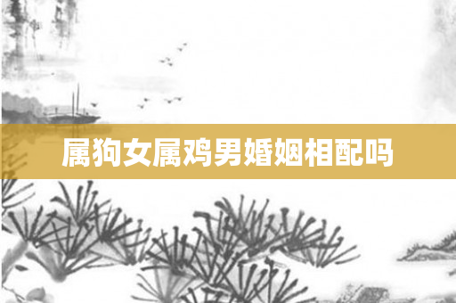 属狗女属鸡男婚姻相配吗