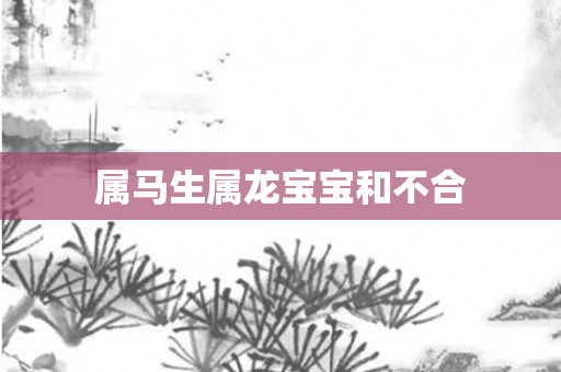 属马生属龙宝宝和不合