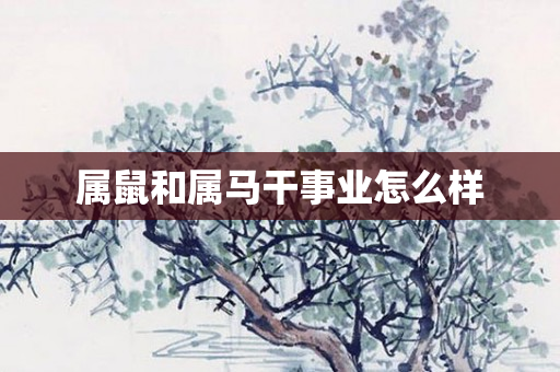 属鼠和属马干事业怎么样