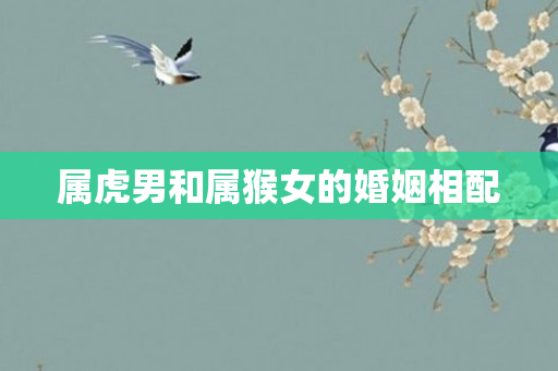属虎男和属猴女的婚姻相配