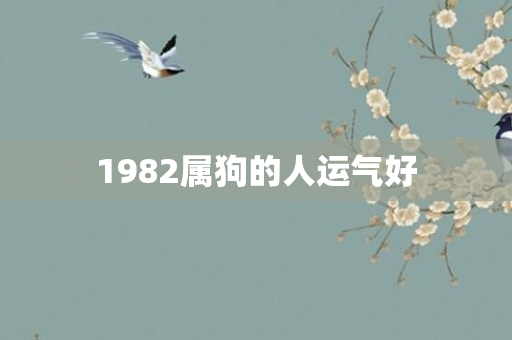 1982属狗的人运气好