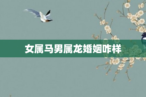 女属马男属龙婚姻咋样