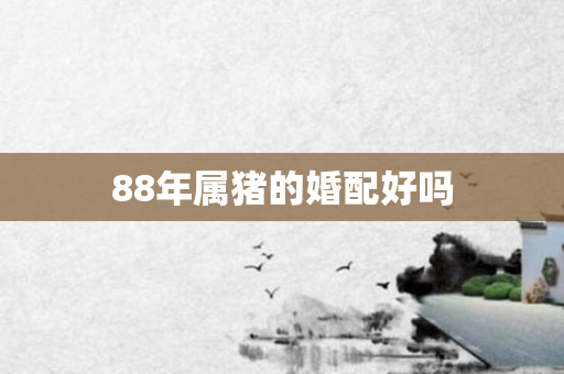 88年属猪的婚配好吗