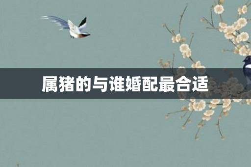 属猪的与谁婚配最合适