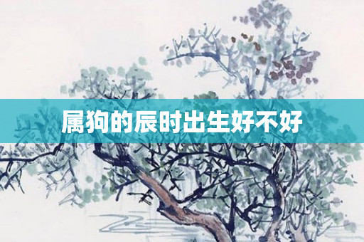 属狗的辰时出生好不好