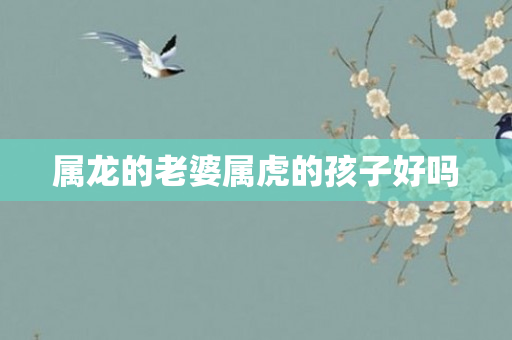 属龙的老婆属虎的孩子好吗