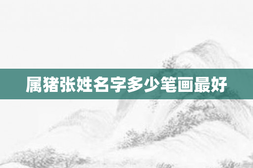 属猪张姓名字多少笔画更好