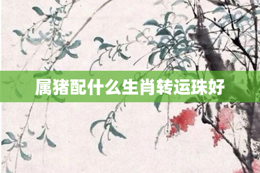 属猪配什么生肖转运珠好