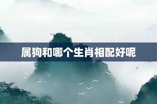 属狗和哪个生肖相配好呢