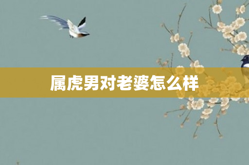 属虎男对老婆怎么样