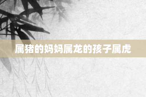 属猪的妈妈属龙的孩子属虎