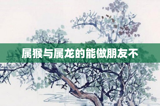属猴与属龙的能做朋友不