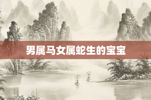 男属马女属蛇生的宝宝