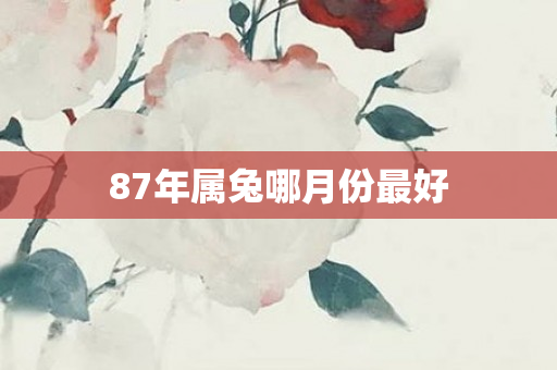 87年属兔哪月份更好