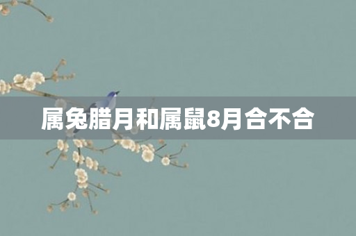 属兔腊月和属鼠8月合不合