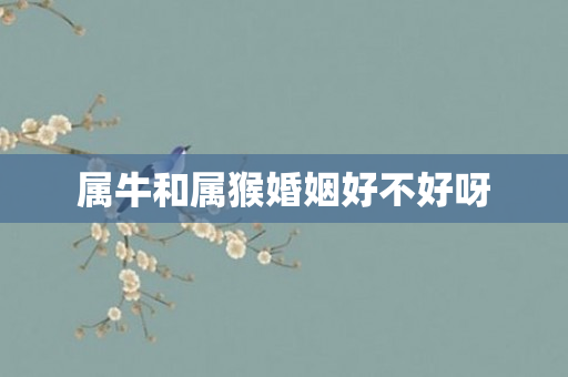 属牛和属猴婚姻好不好呀