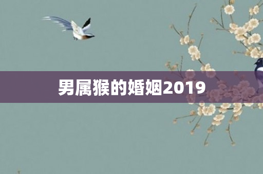 男属猴的婚姻2019