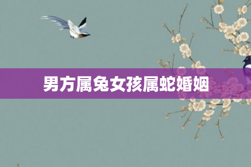 男方属兔女孩属蛇婚姻