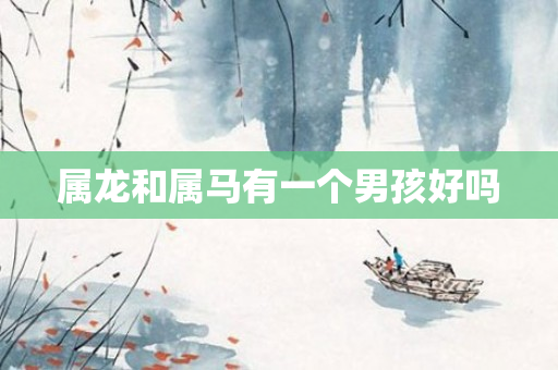 属龙和属马有一个男孩好吗
