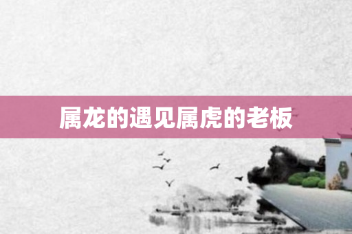 属龙的遇见属虎的老板