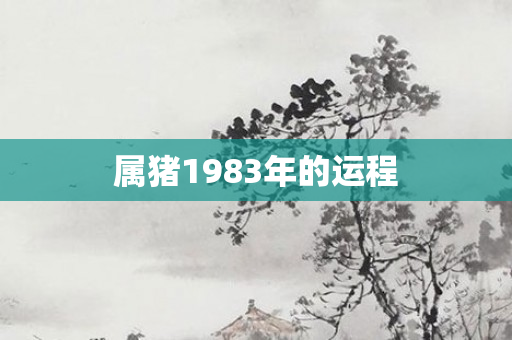 属猪1983年的运程