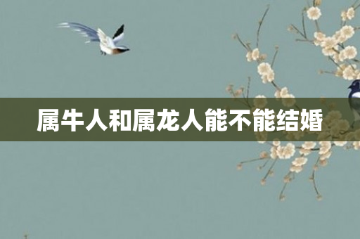 属牛人和属龙人能不能结婚