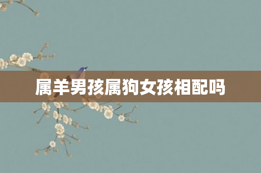 属羊男孩属狗女孩相配吗