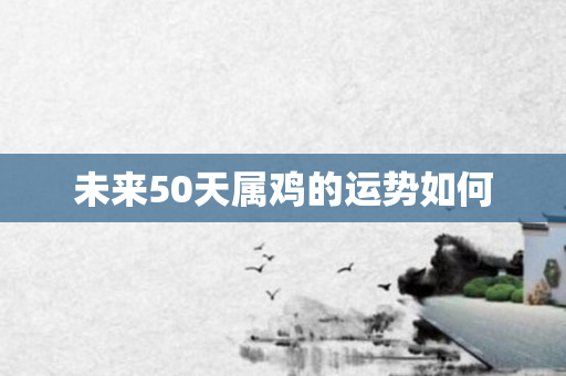 未来50天属鸡的运势如何