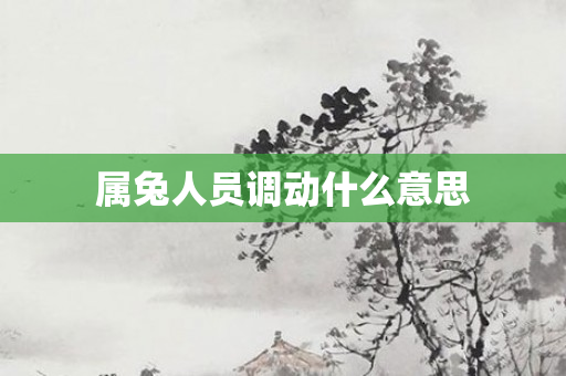 属兔人员调动什么意思