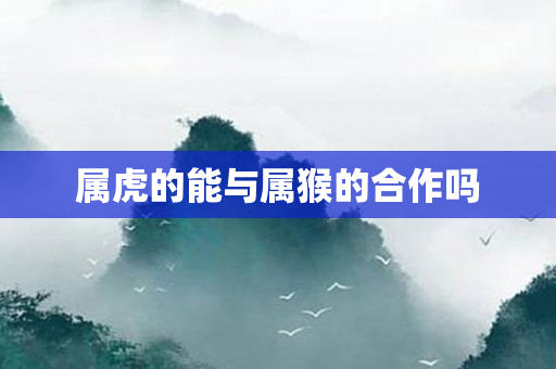 属虎的能与属猴的合作吗