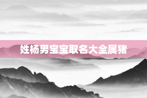 姓杨男宝宝取名大全属猪