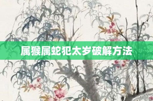 属猴属蛇犯太岁破解 *** 