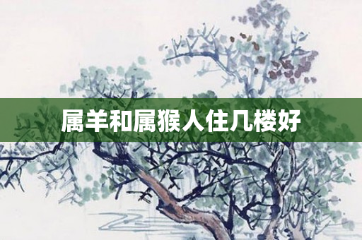属羊和属猴人住几楼好