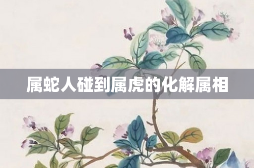 属蛇人碰到属虎的化解属相