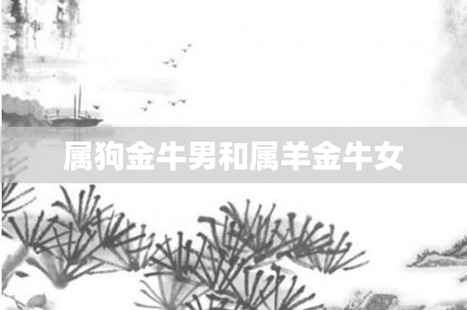 属狗金牛男和属羊金牛女