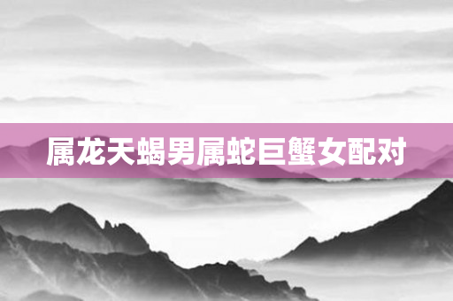 属龙天蝎男属蛇巨蟹女配对