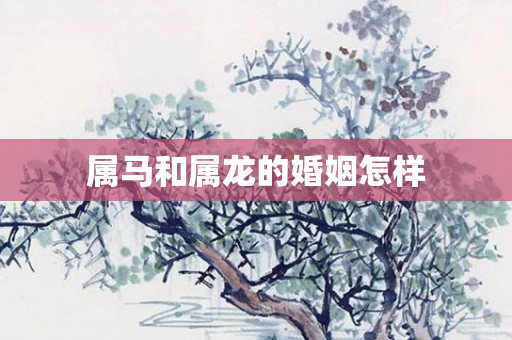 属马和属龙的婚姻怎样