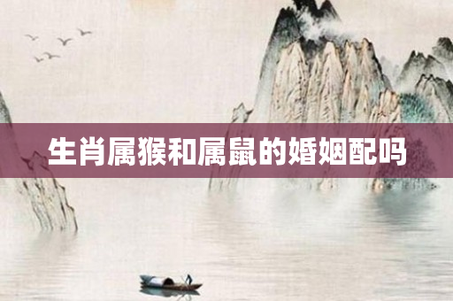 生肖属猴和属鼠的婚姻配吗