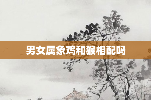 男女属象鸡和猴相配吗