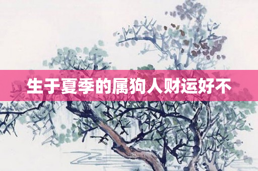 生于夏季的属狗人财运好不