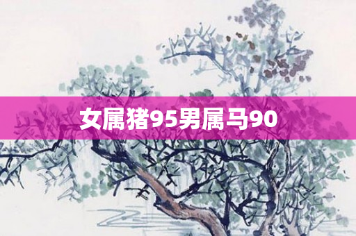 女属猪95男属马90