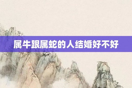 属牛跟属蛇的人结婚好不好